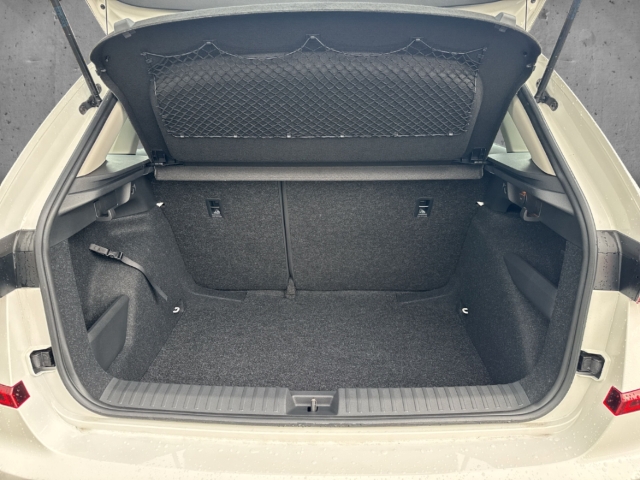 Fahrzeugabbildung SKODA Kamiq 1.0 TSI SELECTION Alu Apple CarPlay BT