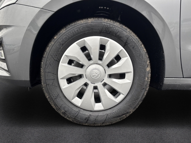 Fahrzeugabbildung SKODA Fabia 1.0 TSI SELECTION Klimaauto LED Apple CarP