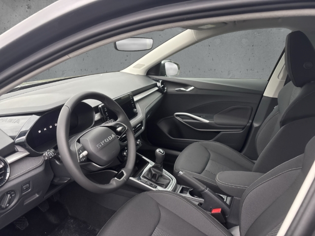 Fahrzeugabbildung SKODA Fabia 1.0 TSI SELECTION Klimaauto LED Apple CarP