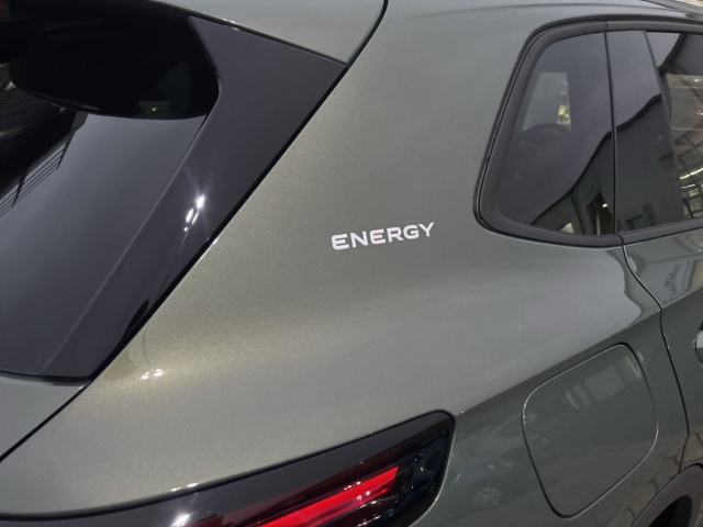 Fahrzeugabbildung Volkswagen Tiguan 1.5 TSI eHybrid Energy ACC AHK Nav elHeck