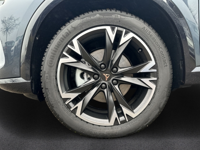 Fahrzeugabbildung CUPRA Formentor 1.5 eTSI Navi Digitales Cockpit LED Sperrdiff. ACC El. Heckklappe