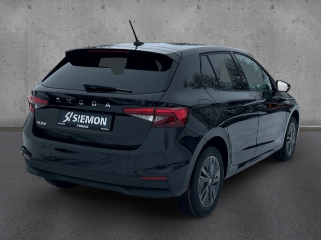 Fahrzeugabbildung SKODA Fabia 1.0 TSI DSG BALANCE LED Navi Winter PDC SHZ