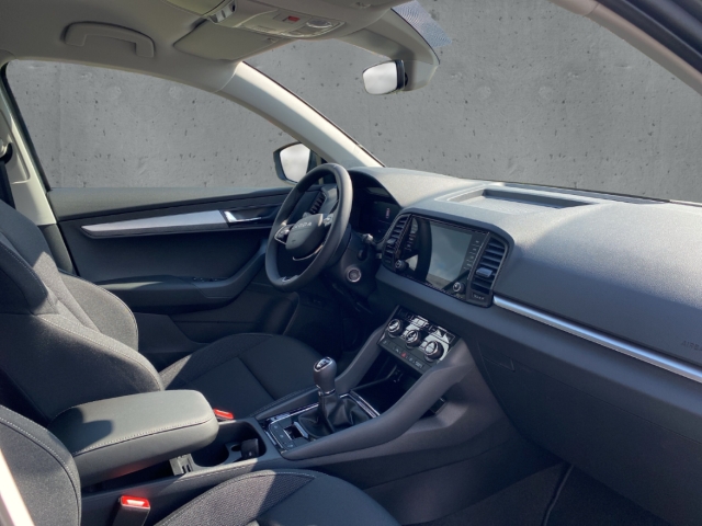 Fahrzeugabbildung SKODA Karoq 1.0 TSI TOUR LED AHK el.Heckkl. PDC SHZ LM