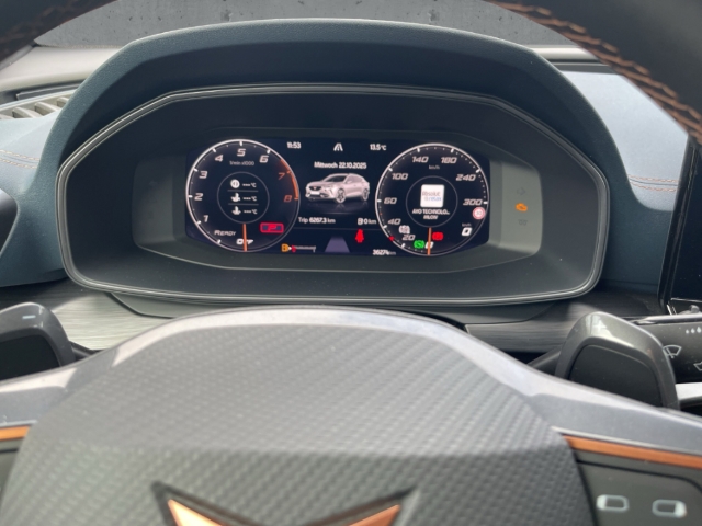 Fahrzeugabbildung CUPRA Formentor VZ 4Drive DSG AHK Brembo Pano Navi Kam