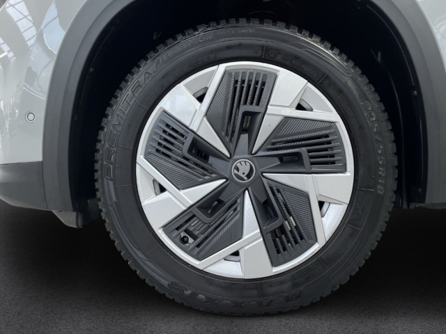 Fahrzeugabbildung SKODA Kodiaq TDI DSG Selection AHK MatrixLED ACC 360°