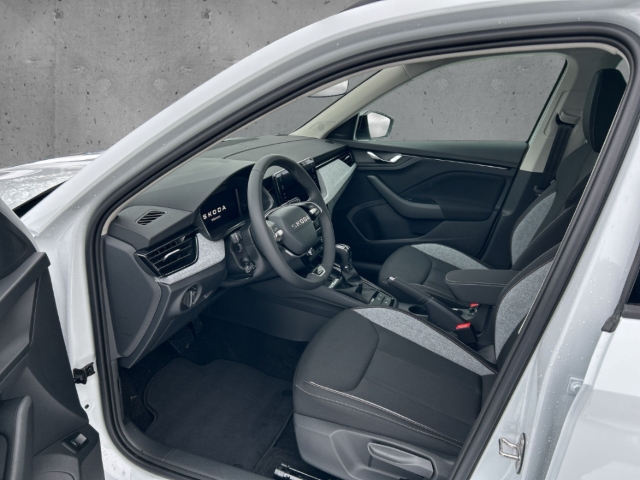 Fahrzeugabbildung SKODA Kamiq 1.5 TSI DSG Balance LED Navi AHK LM17 PDC