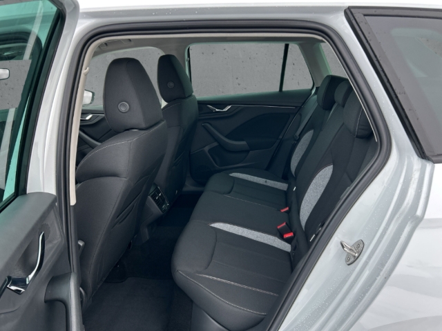 Fahrzeugabbildung SKODA Kamiq 1.5 TSI DSG Balance LED Navi AHK LM17 PDC