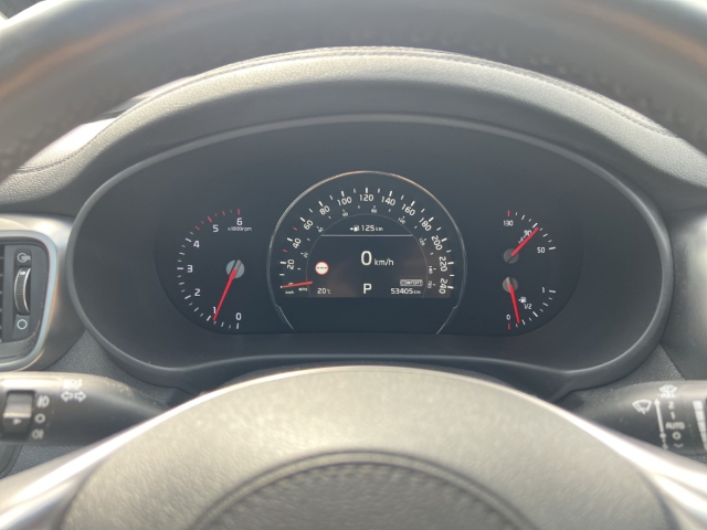 Fahrzeugabbildung Kia Sorento 2.2 CRDi 4WD Platinum Edition Leder Navi