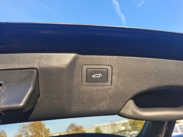 Fahrzeugabbildung Hyundai Grand Santa Fe 2.2 CRDi 4WD Premium 7-Sitz LED e.Sitz AHK RKam el. HKL