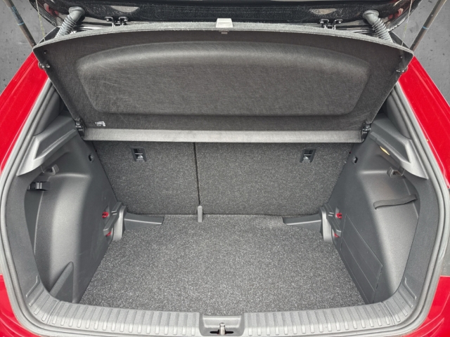 Fahrzeugabbildung SKODA Fabia Monte Carlo 1.5 TSI R-Kamera Tempomat SHZ