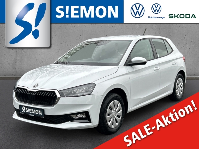 Fahrzeugabbildung SKODA Fabia 1.0 TSI SELECTION LED Temp PDC SHZ Klima