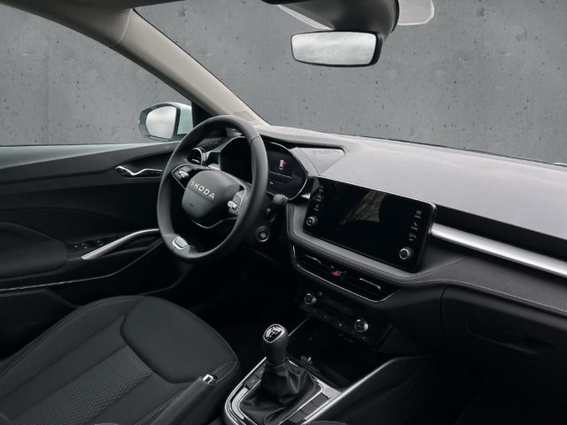 Fahrzeugabbildung SKODA Fabia 1.0 TSI SELECTION LED Temp PDC SHZ Klima