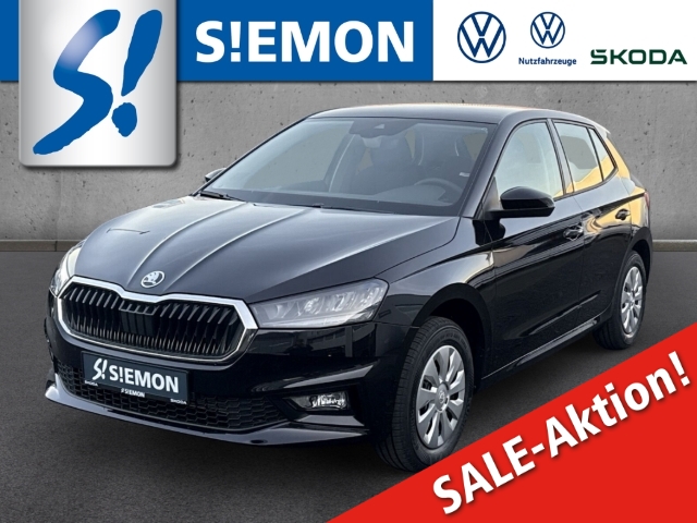 Fahrzeugabbildung SKODA Fabia 1.0 TSI SELECTION LED SHZ PDC Temp Klima