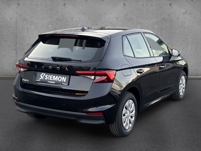 Fahrzeugabbildung SKODA Fabia 1.0 TSI SELECTION LED SHZ PDC Temp Klima