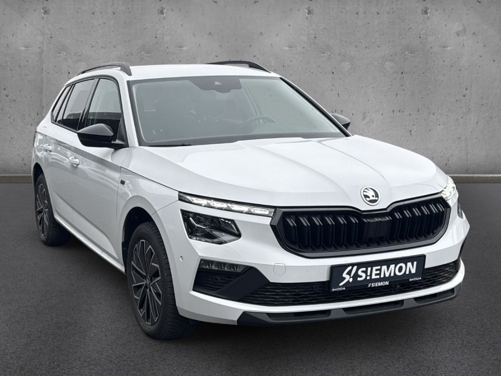 Fahrzeugabbildung SKODA Kamiq 1.5 TSI DSG Tour AHK MatrLED Navi ACC elHe