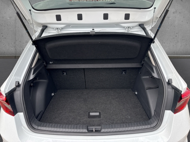 Fahrzeugabbildung SKODA Fabia 1.0 TSI DSG Ambition Navi Tempo SHZ PDC