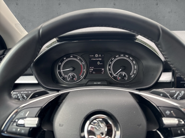 Fahrzeugabbildung SKODA Fabia 1.0 TSI DSG Ambition Navi Tempo SHZ PDC