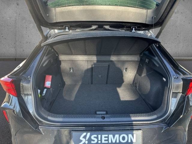 Fahrzeugabbildung CUPRA Formentor VZ 333 4Drive DSG ACC elHeck Kam Keyle