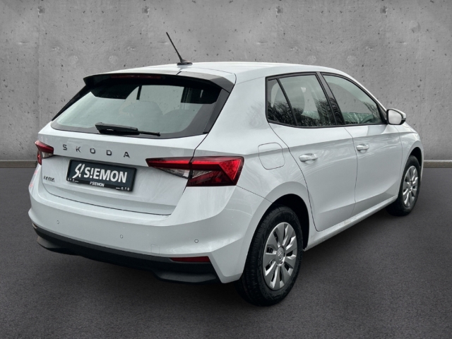 Fahrzeugabbildung SKODA Fabia 1.0 TSI SELECTION LED Temp PDC SHZ Klima