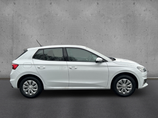 Fahrzeugabbildung SKODA Fabia 1.0 TSI SELECTION LED Temp PDC SHZ Klima