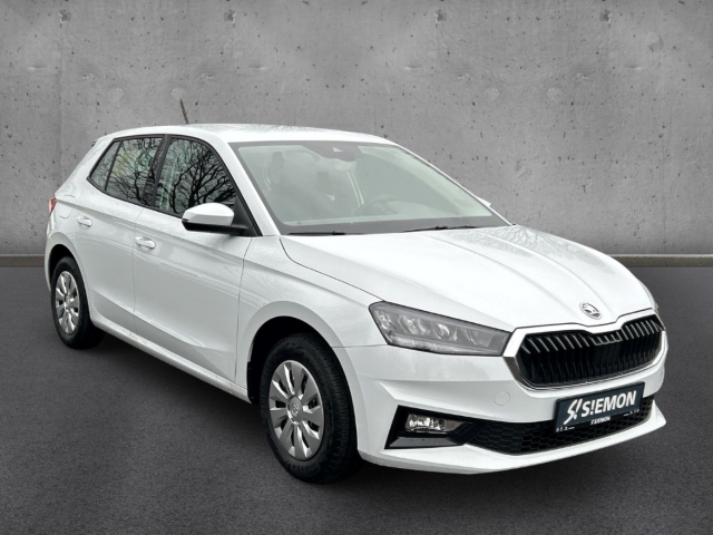 Fahrzeugabbildung SKODA Fabia 1.0 TSI SELECTION LED Temp PDC SHZ Klima