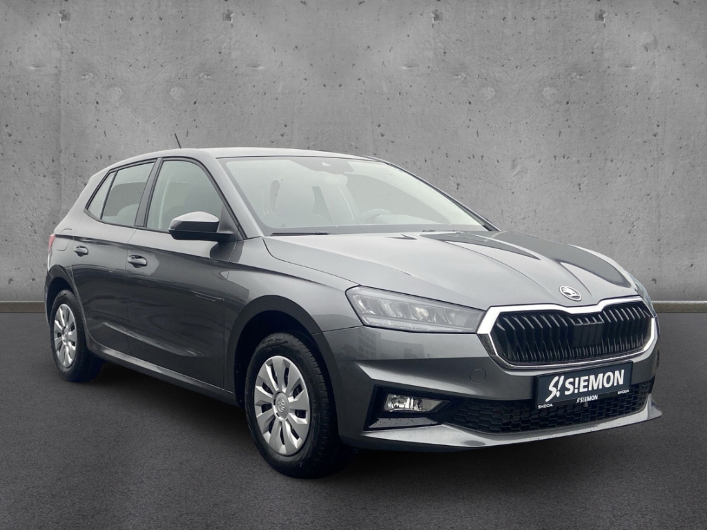 Fahrzeugabbildung SKODA Fabia 1.0 TSI SELECTION Klimaauto LED Apple CarP