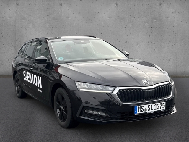Fahrzeugabbildung SKODA Octavia Combi Ambition 2.0 TDI LED Apple CarPlay Android Auto Mehrzonenklima