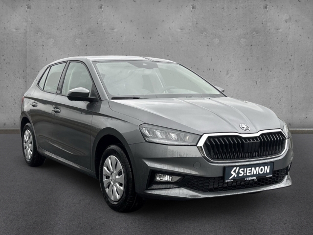 Fahrzeugabbildung SKODA Fabia 1.0 TSI SELECTION LED SHZ PDC Temp