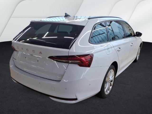 Fahrzeugabbildung SKODA Octavia Combi 1.5 eTSI DSG Selection Lodge R-Kam