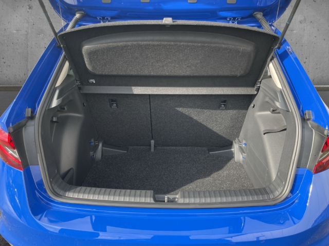 Fahrzeugabbildung SKODA Fabia SELECTION 1.0 TSI PDC KLIMA SHZ DAB