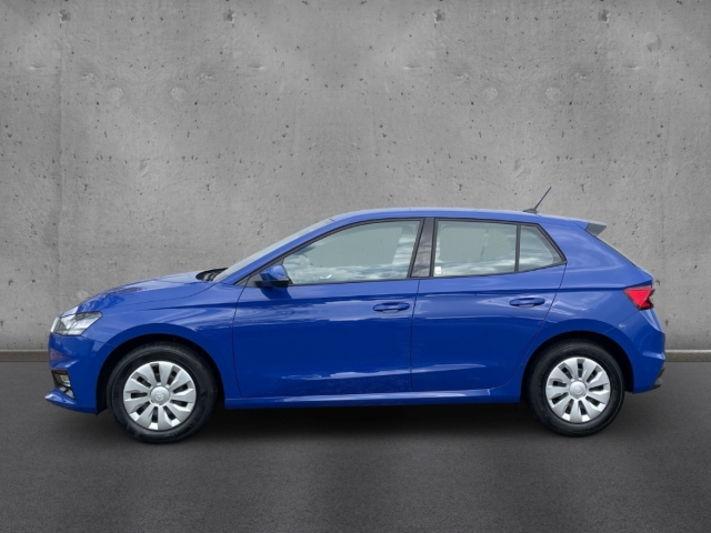 Fahrzeugabbildung SKODA Fabia SELECTION 1.0 TSI PDC KLIMA SHZ DAB