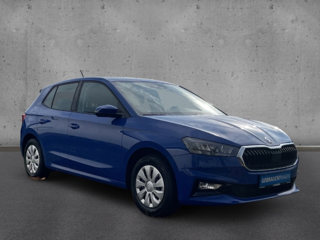 Fahrzeugabbildung SKODA Fabia SELECTION 1.0 TSI PDC KLIMA SHZ DAB