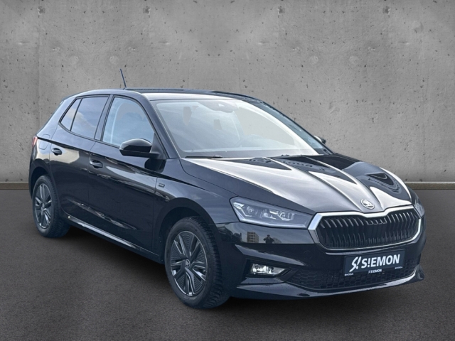 Fahrzeugabbildung SKODA Fabia 1.0 TSI DSG Tour LED Navi Temp SHZ LHZ Kam