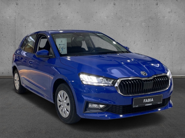 Fahrzeugabbildung SKODA Fabia 1.0 TSI Ambition LED Klima Temp SmartLink