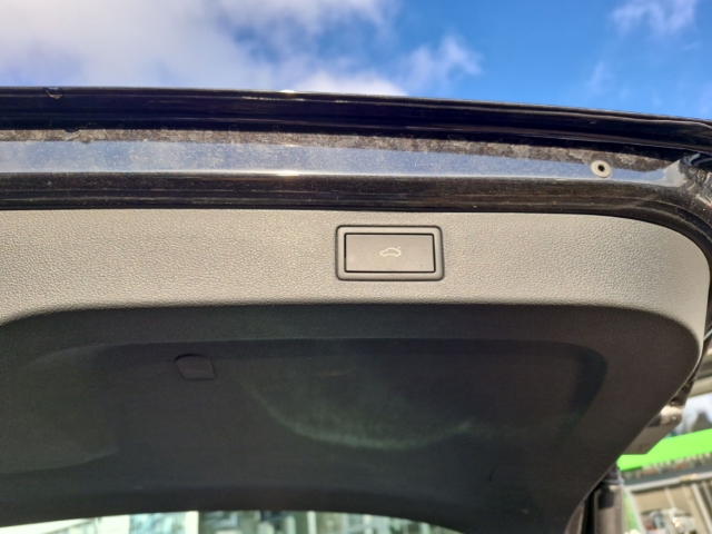 Fahrzeugabbildung SKODA Kamiq 1.0 TSI DSG Scout LED Navi Temp SHZ Kamera