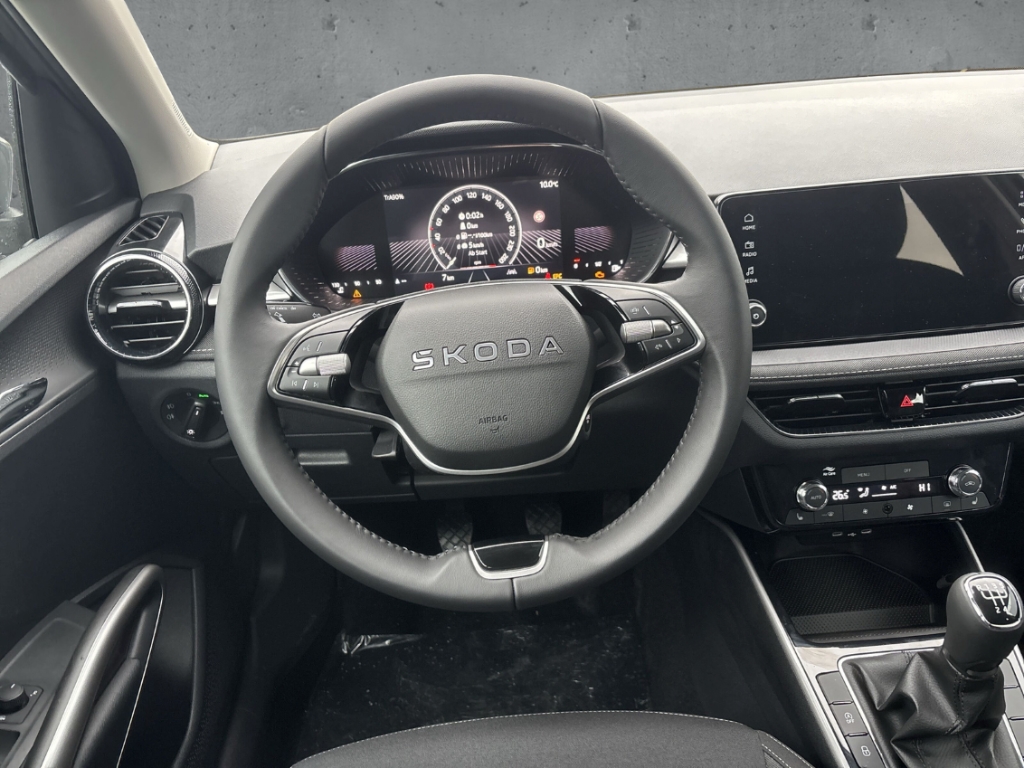 Fahrzeugabbildung SKODA Fabia 1.0 TSI SELECTION Klimaauto LED CarPlay