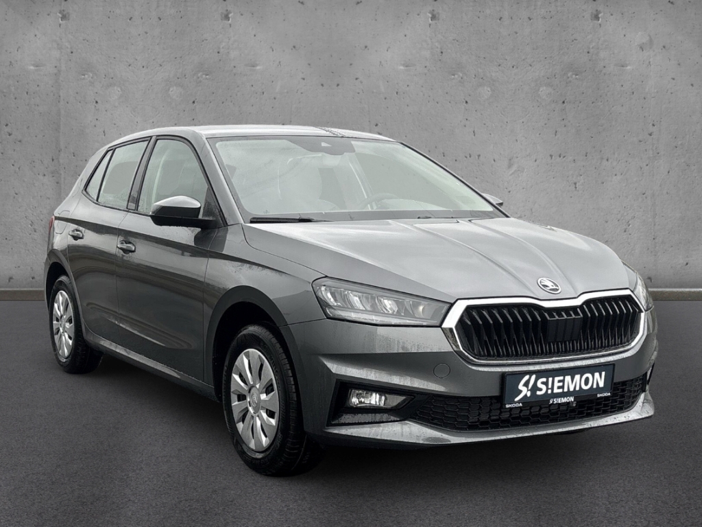 Fahrzeugabbildung SKODA Fabia 1.0 TSI SELECTION Klimaauto LED CarPlay