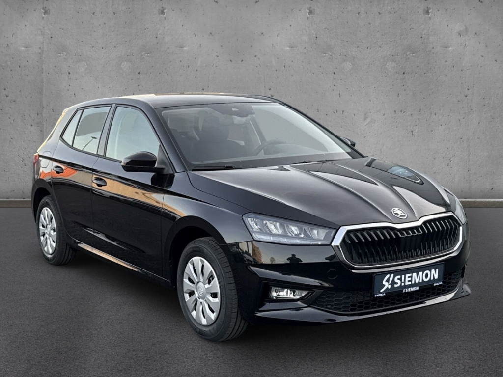 Fahrzeugabbildung SKODA Fabia 1.0 TSI SELECTION Klimaauto LED Apple CarP