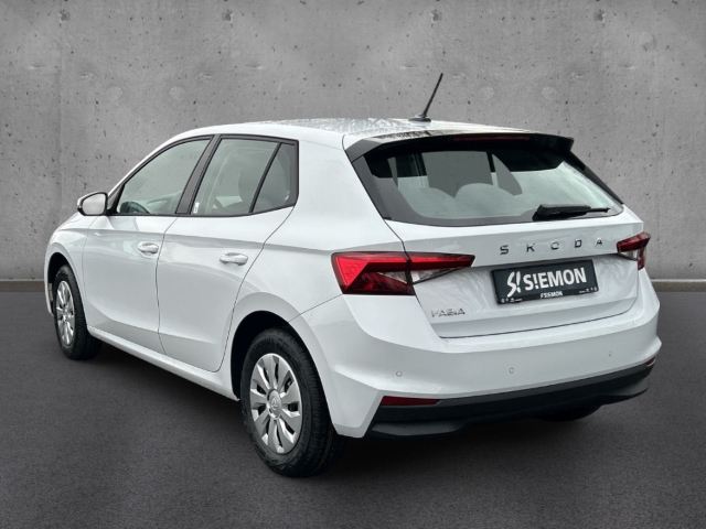 Fahrzeugabbildung SKODA Fabia 1.0 TSI SELECTION LED Temp PDC SHZ Klima