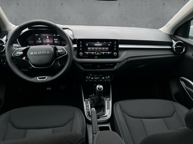 Fahrzeugabbildung SKODA Fabia 1.0 TSI SELECTION LED Temp PDC SHZ Klima