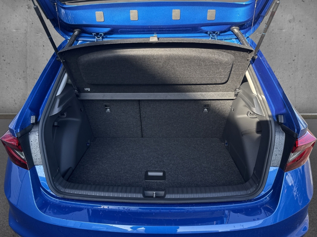 Fahrzeugabbildung SKODA Fabia Selection 1.0 TSI DSG BALANCE LED Navi SHZ PDC