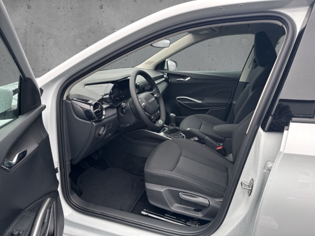 Fahrzeugabbildung SKODA Fabia 1.0 TSI SELECTION Klimaauto LED Apple CarPlay