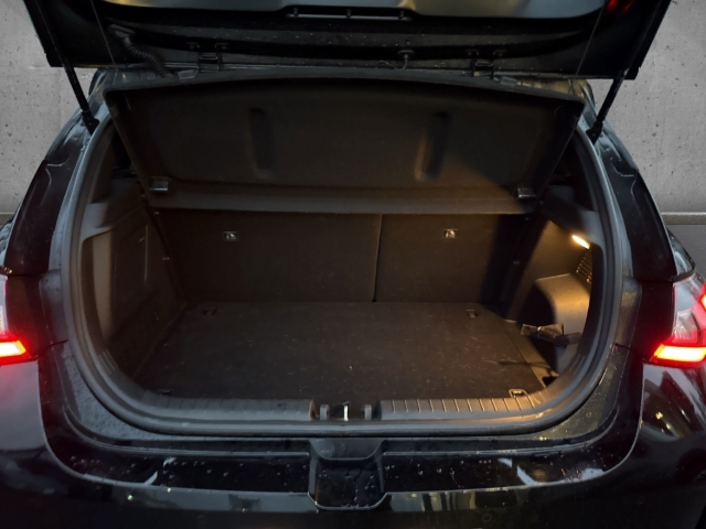 Fahrzeugabbildung Hyundai i20 New 1.0 T-GDi (48V) N-LINE Navi Assistenzpaket