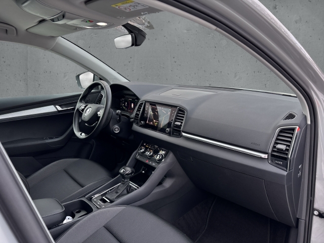 Fahrzeugabbildung SKODA Karoq TDI 4x4 DSG Tour LED Navi Temp SHZ LHZ PDC