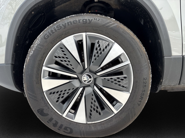 Fahrzeugabbildung SKODA Karoq TDI 4x4 DSG Tour LED Navi Temp SHZ LHZ PDC