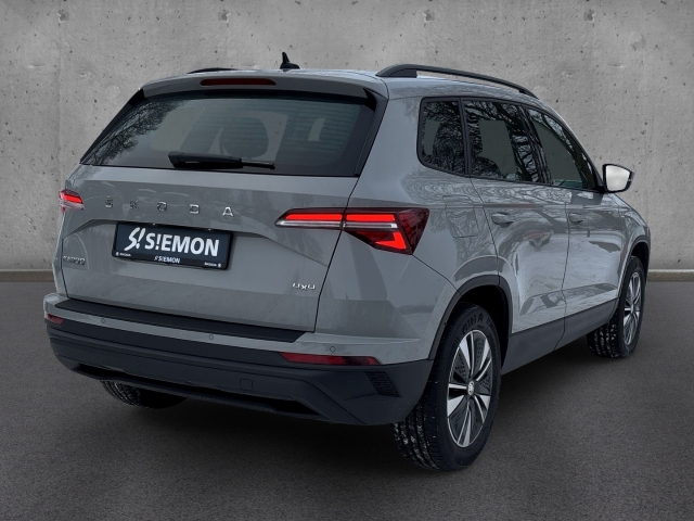 Fahrzeugabbildung SKODA Karoq TDI 4x4 DSG Tour LED Navi Temp SHZ LHZ PDC