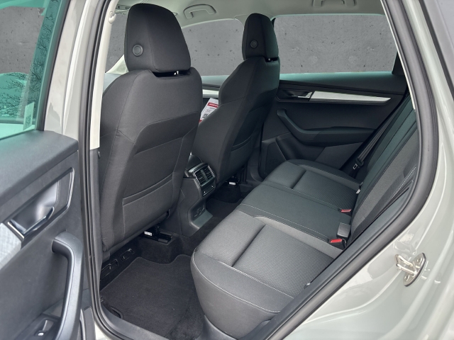 Fahrzeugabbildung SKODA Karoq TDI 4x4 DSG Tour LED Navi Temp SHZ LHZ PDC