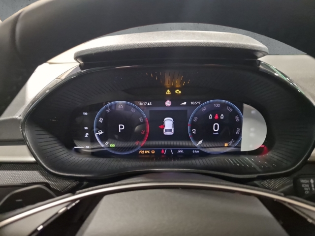 Fahrzeugabbildung SKODA Fabia 1.0 TSI DSG Balance ACC Rkam SHZ LHZ Kessy CarPlay