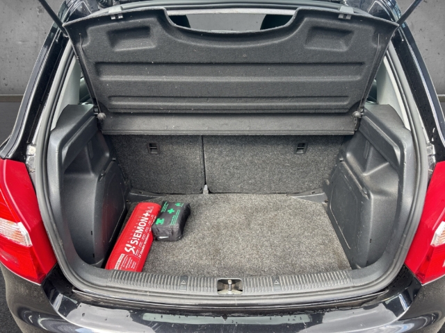 Fahrzeugabbildung SKODA Fabia 1.2 TSI Cool Edition Klima AUX ABS eFH