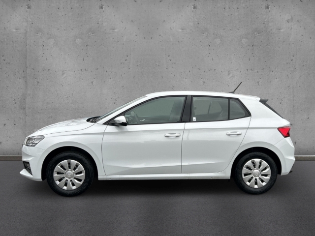 Fahrzeugabbildung SKODA Fabia 1.0 TSI SELECTION LED SHZ PDC Temp Klima